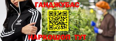 прущие грибы Славгород