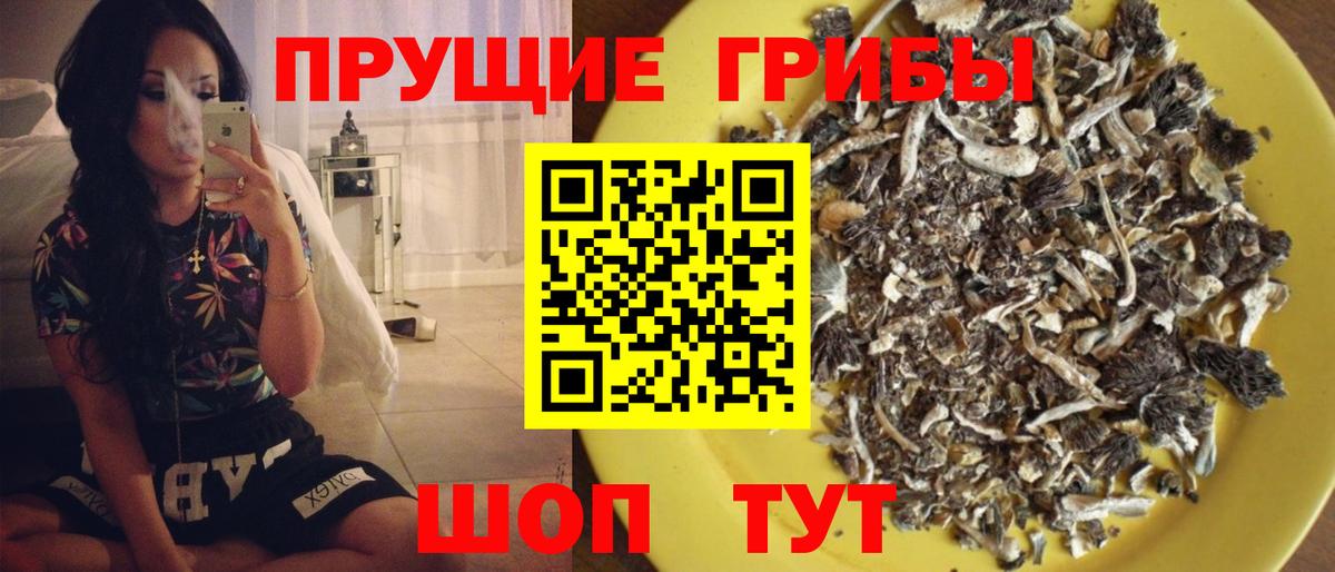 Псилоцибиновые грибы Psilocybine cubensis  Вход с VPN  Псилоцибиновые грибы Psilocybine cubensis  Армавир 
